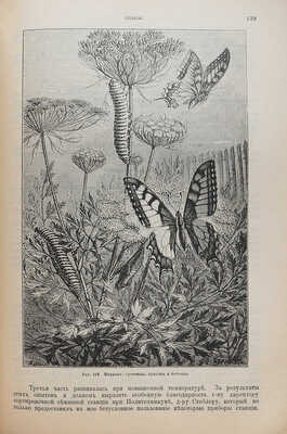 Штандфусс М.Р. Жизнь бабочек, их ловля, воспитание и сохранение. Руководство для собирателей. СПб., [1901].